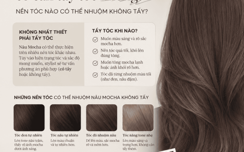 NÂU MOCHA CÓ CẦN TẨY TÓC KHÔNG? NỀN TÓC NÀO CÓ THỂ NHUỘM KHÔNG TẨY?
