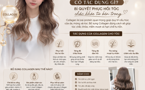 Collagen cho tóc có tác dụng gì? Bí quyết giúp mái tóc chắc khỏe và bóng mượt
